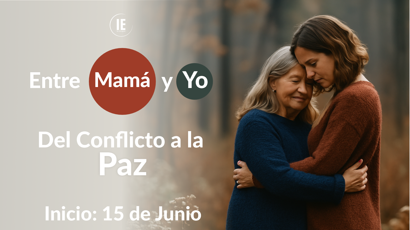 INTEGRACION EMOCIONAL