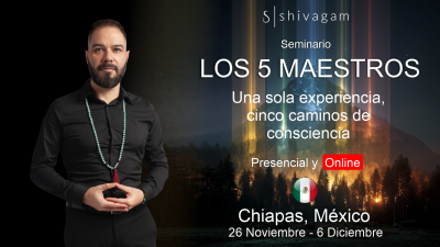 Los 5 Maestros ✧ Una sola experiencia - cinco caminos de consciencia