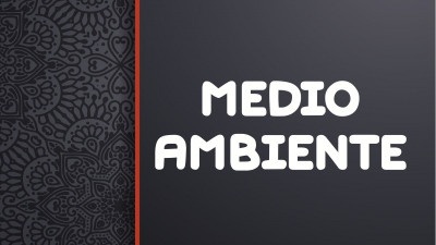 MEDIO AMBIENTE