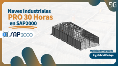 Naves Industriales PRO 30 Horas en SAP2000