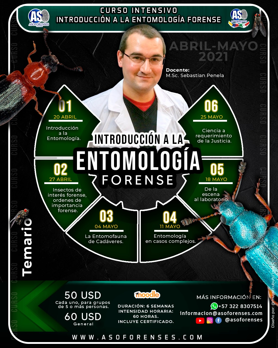 Entomologia Forense