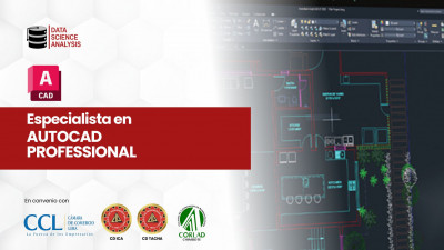 ESPECIALISTA EN AUTOCAD  (Professional)