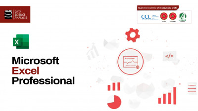 Microsoft Excel Professional