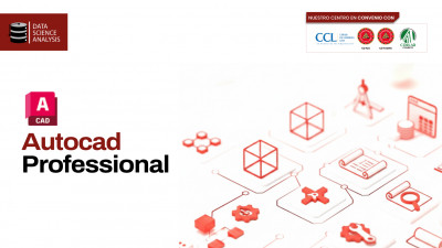 Autocad Professional