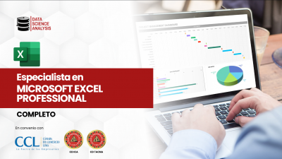 Microsoft Excel Profesional - COMPLETO