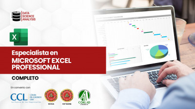 MICROSOFT EXCEL PROFESSIONAL 2025