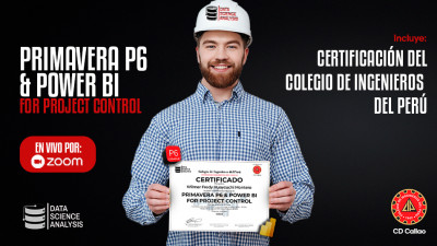 contenido digital