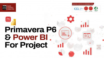 Primavera P6 & Power BI for Project Control