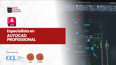 ESPECIALISTA EN AUTOCAD  (Professional)