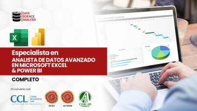 Analista de Datos Avanzado en Microsoft Excel & Power BI - COMPLETO