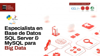 Especialista en Base de Datos SQL Server & MySQL para Big Data