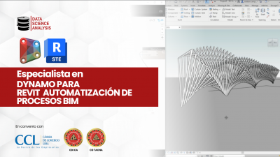 Especialización Dynamo Para Revit Automatización De Procesos Bim