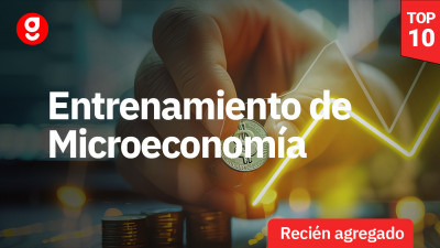 Entrenamiento de Microeconomía