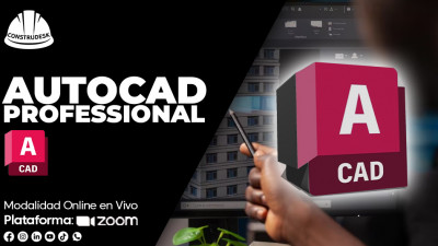 AutoCAD Profesional