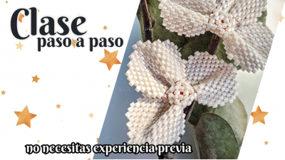 Flor 3 petalos