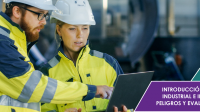 INTRODUCCIÓN A LA SEGURIDAD INDUSTRIAL E IDENTIFICACIÓN DE PELIGROS Y EVALUACIÓN DE RIESGOS - SUS